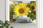 Preview: Fototapete Sonnenblume