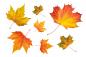 Preview: Fenstersticker Herbstset