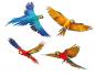 Preview: Fliegende Papageien Fenstersticker