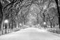 Preview: Vlies-Fototapete Weg im Central Park von New York im Winter