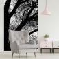 Preview: Fototapete Silhouette eines Baumes