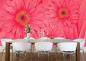 Preview: Fototapete Gerbera