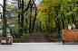 Preview: Fototapete Herbstwald