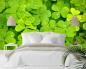 Preview: Fototapete Kleeblätter