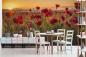 Preview: Fototapete Mohnblumen