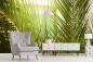 Preview: Fototapete mit einer Palme im sonnigen Licht