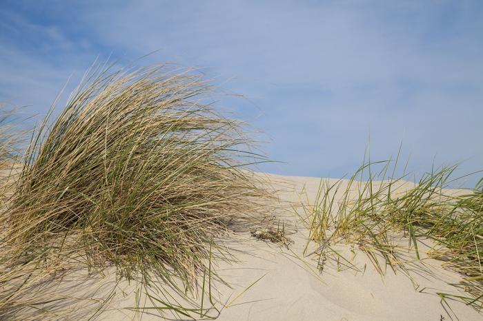 Fototapete Dünen Ostsee