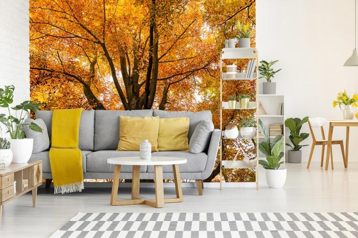 Fototapete Herbstbaum