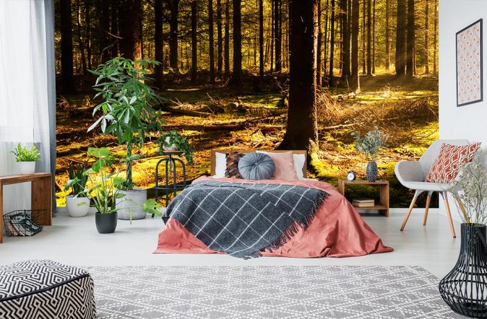 Fototapete Waldmotiv