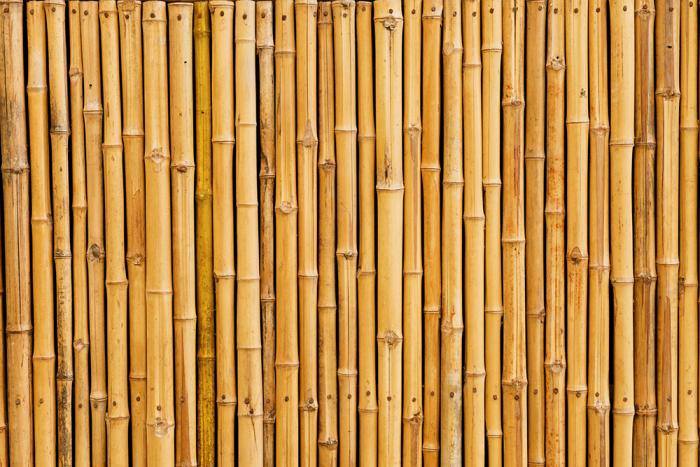 Fototapete Bambuswand