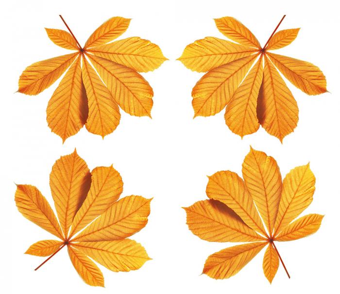 Fenstersticker Herbstset