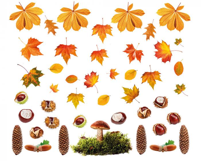 Fenstersticker Herbstset