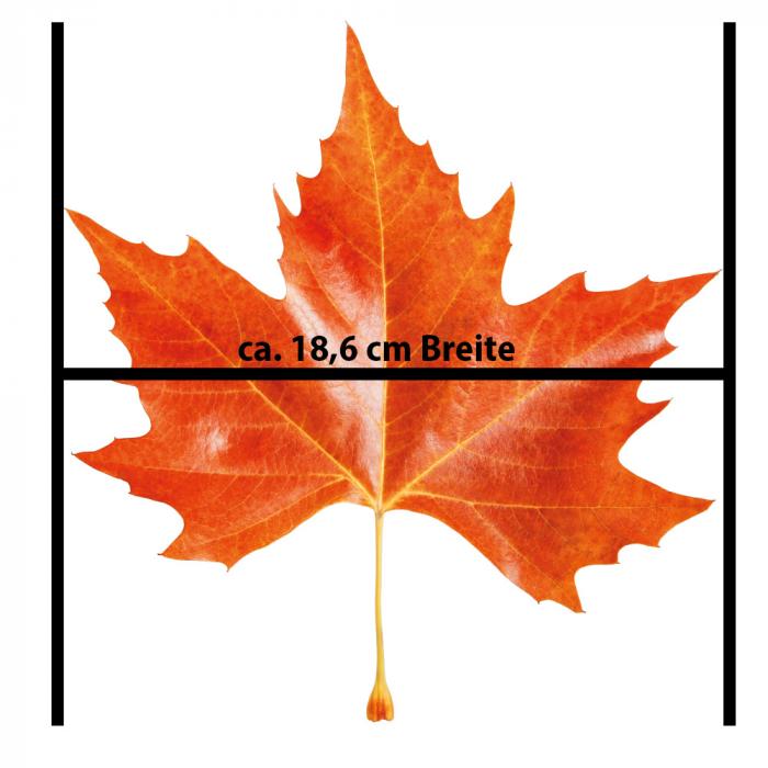 Fenstersticker Herbstset