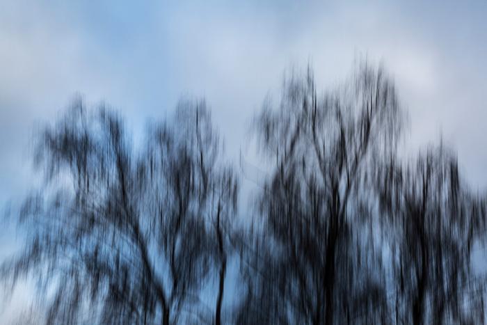 Fototapete abstrakte Bäume im Winter