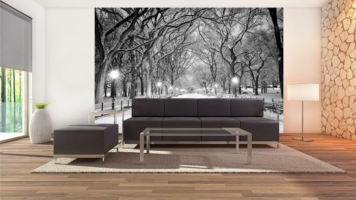 Fototapete aus Vlies mit dem schneebedeckten Central Park in New York