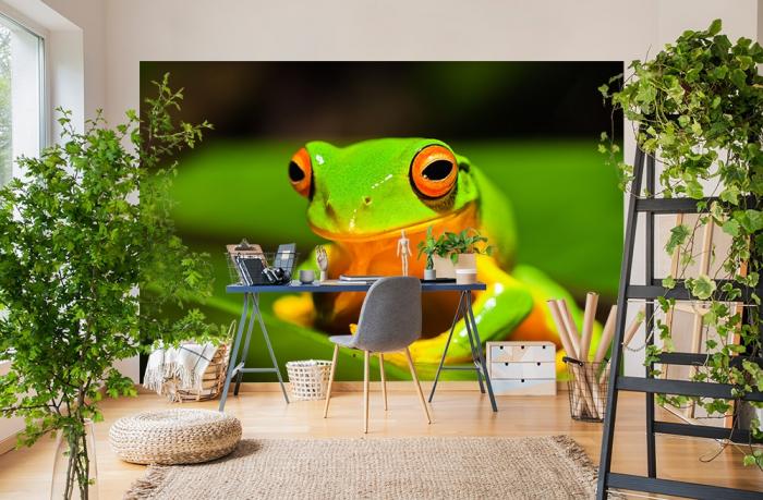 Fototapete aus Vlies mit einem grünen Frosch in der Natur im Homeoffice