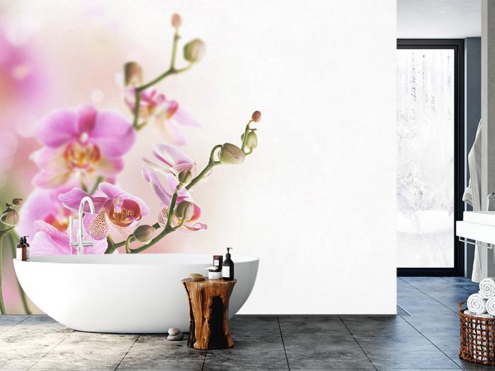 Fototapete aus Vlies mit einer blühenden Orchidee in einem Badezimmer