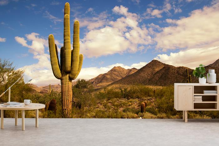 Fototapete Kaktus in der Wüste von Arizona