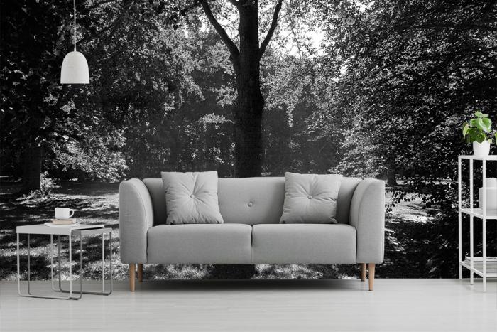 Fototapete Baum an einer Lichtung im Wald