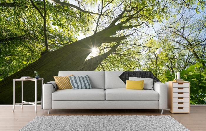 Fototapete Baum im Wald