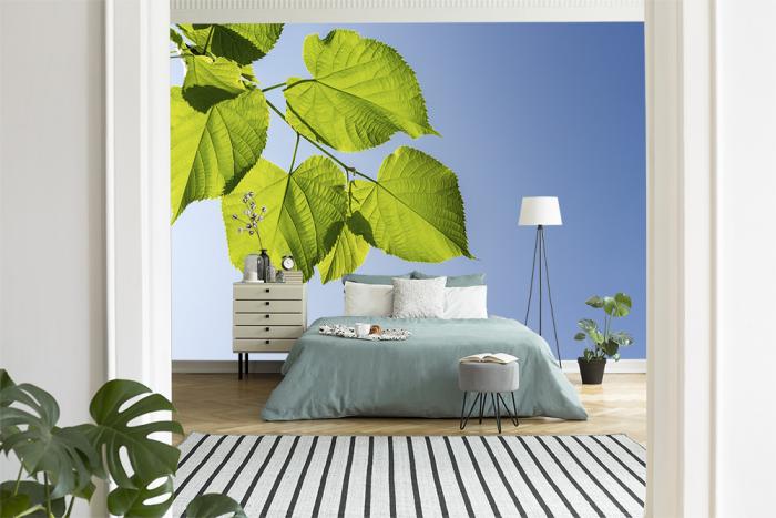 Fototapete Blätter vor blauem Himmel