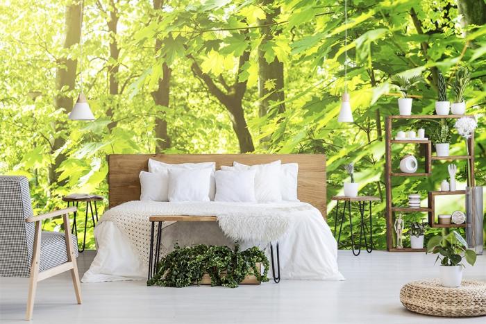 Fototapete Blätter im Sonnenlicht