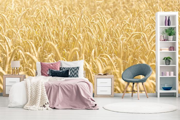 Fototapete Getreidefeld im  Sommer