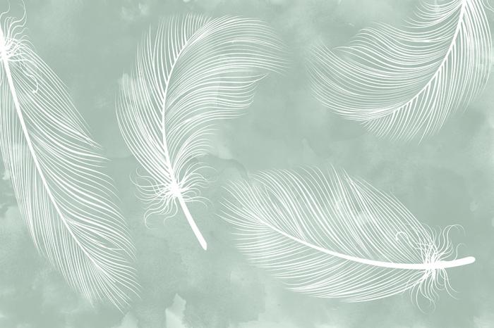 Fototapete mit Federn auf grünem Wasserfarben-Hintergrund