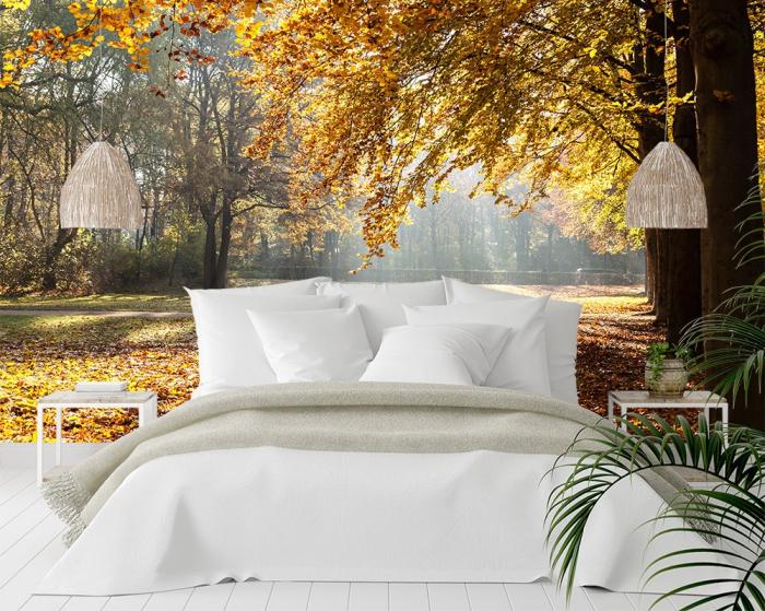 Fototapete Park im Herbst