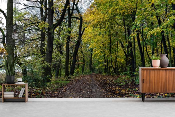 Fototapete Herbstwald