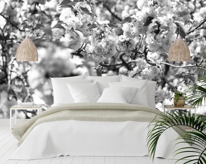 Fototapete japanische Zierkirsche in Schwarzweiß