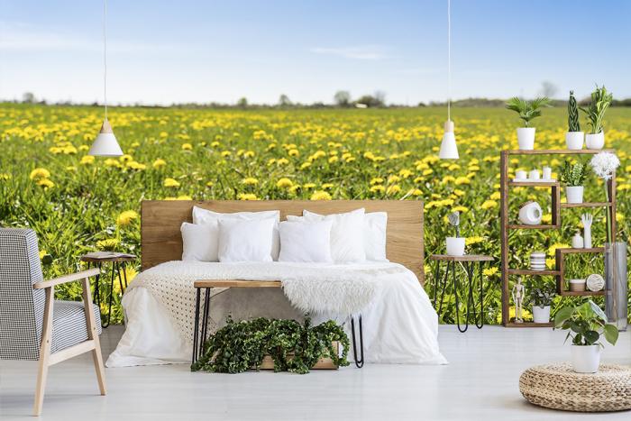 Fototapete Löwenzahn im Frühling