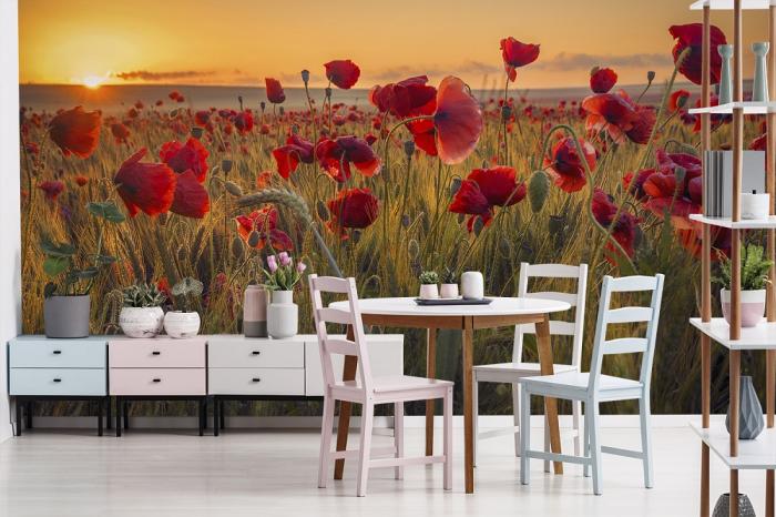 Fototapete Mohnblumen