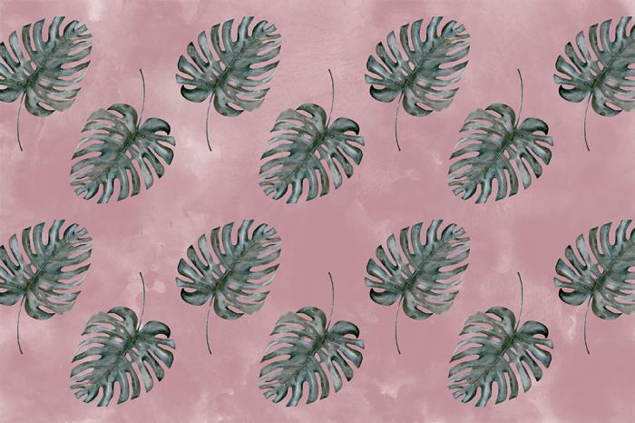 Fototapete mit Monstera Blättern auf Altrosa