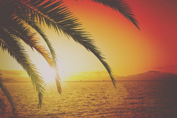 80s Retro-Fototapete Palmenblätter am Meer in der Abendsonne