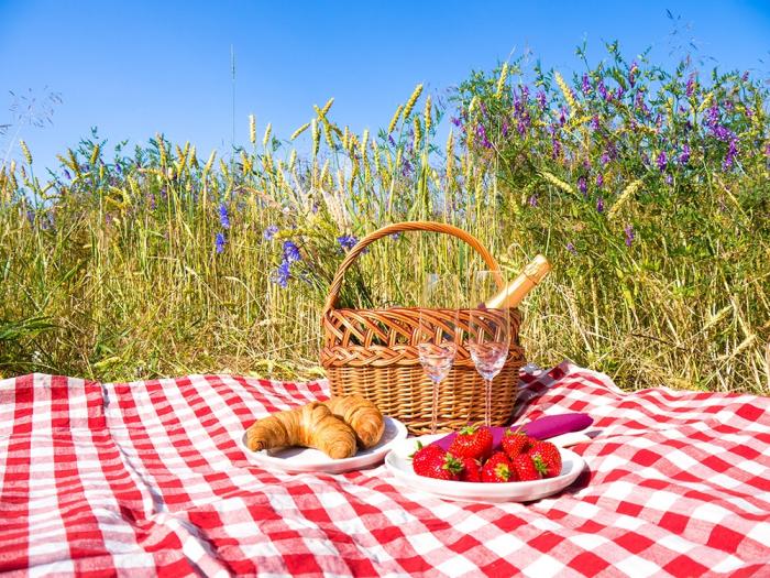 Fototapete Picknick im Sommer