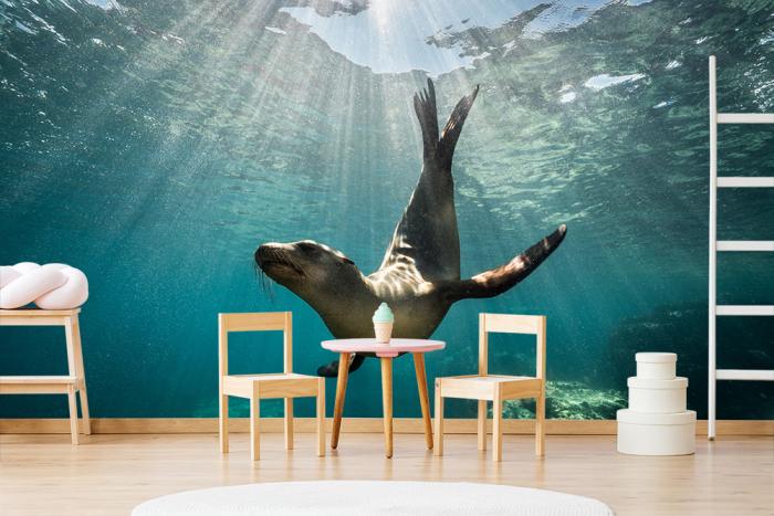 Fototapete Seerobbe unter Wasser