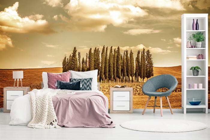 Fototapete Zypressenbäume in der Toskana