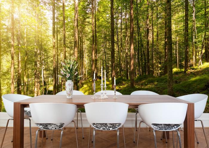 Fototapete ein Wald im Sonnenschein in Österreich