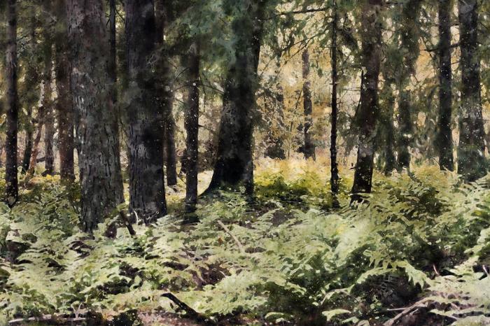 Fototapete Wald im Aquarell-Look