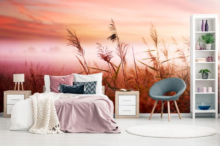 Fototapete Wiese mit Gräsern