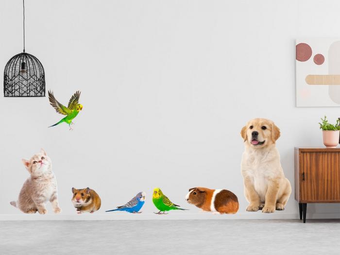Wandaufkleber mit putzigen Haustieren als Set