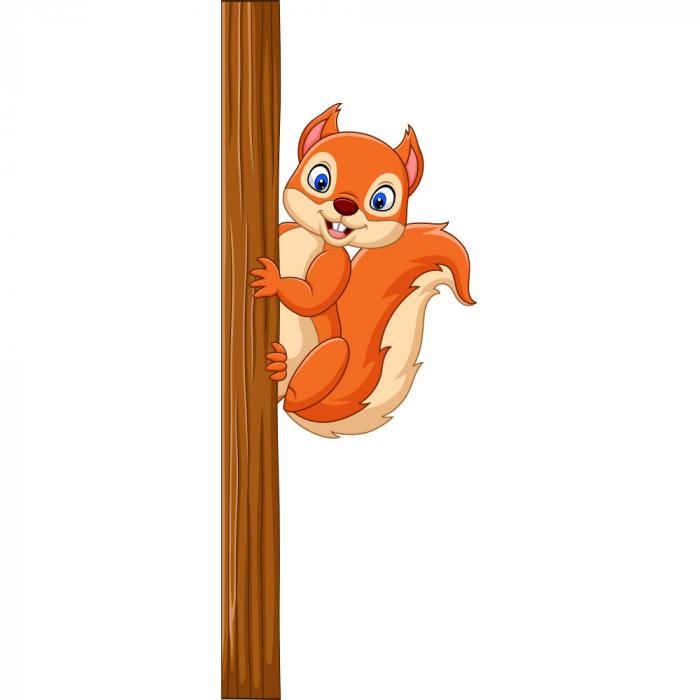 Wandtattoo Eichhörnchen für Kinderzimmer
