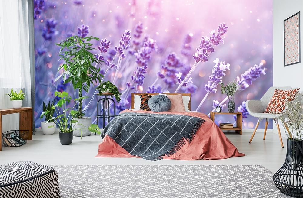 Blumen Fototapete mit blühendem Lavendel im Sonnenlicht