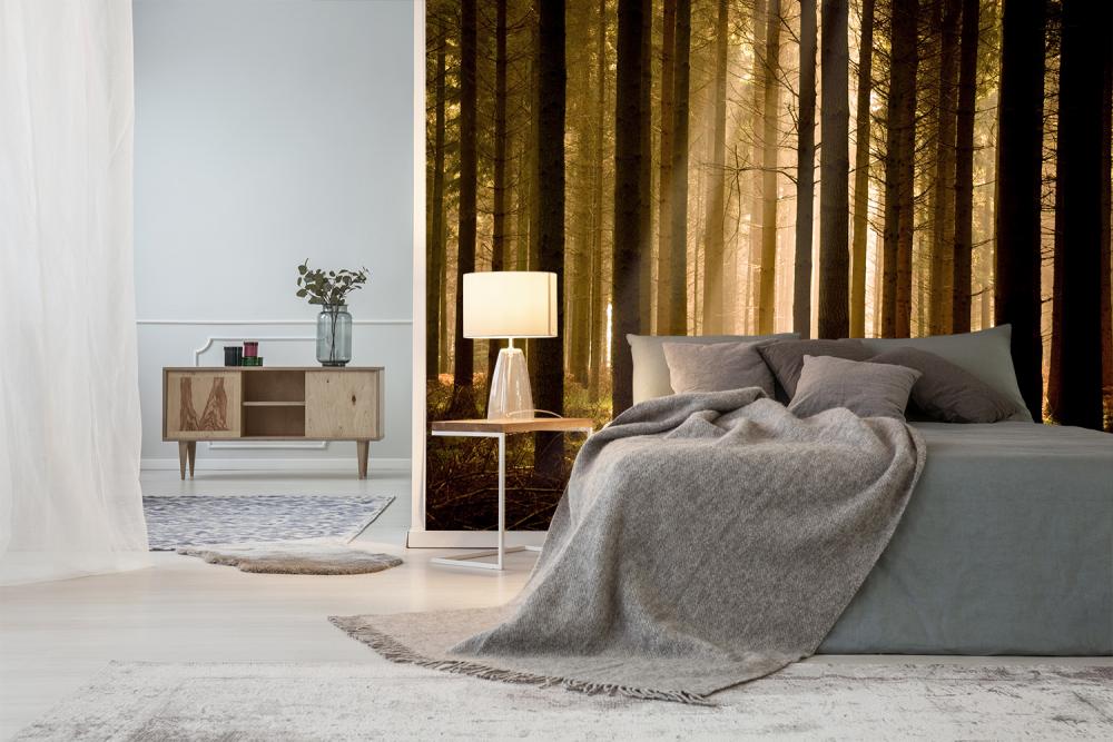 Fototapete Sonnenstrahlen im Wald