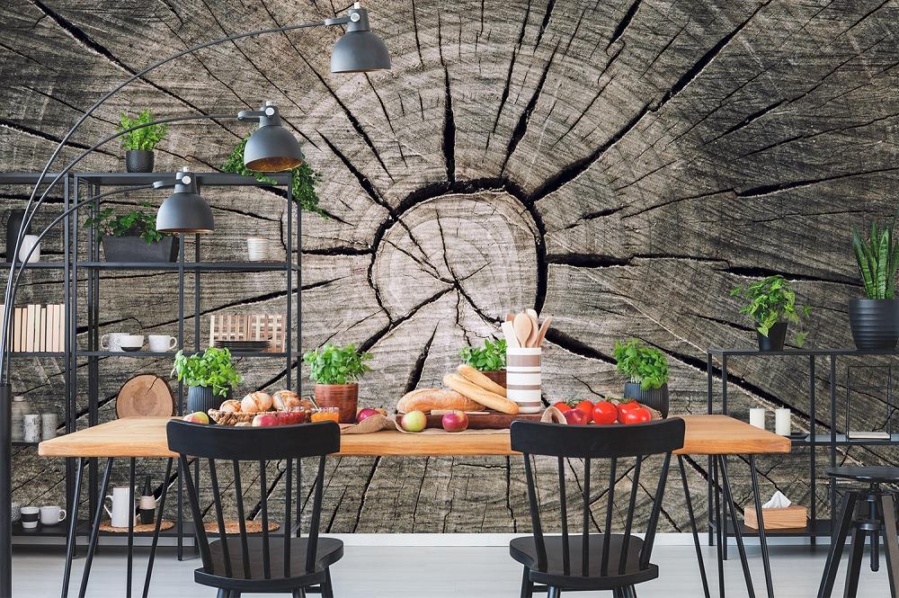 Fototapete Baumstamm Querschnitt