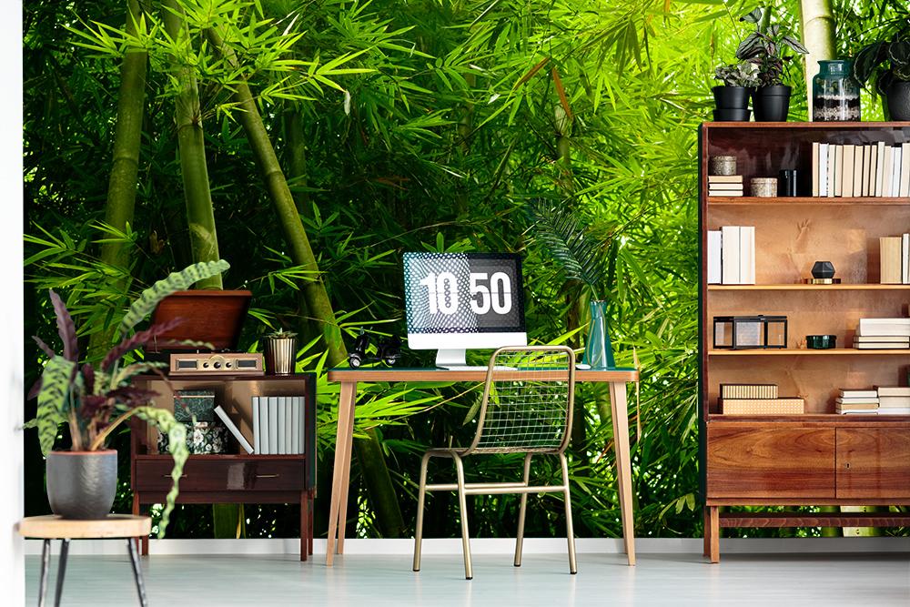 Fototapete Bambuswald