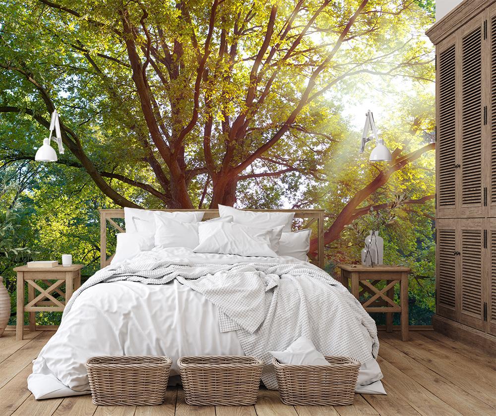 Vlies-Fototapete Baum im Sonnenlicht