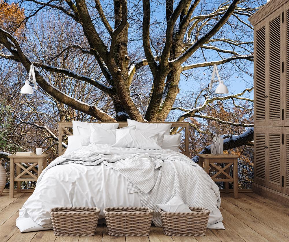 Hochwertige Fototapete – Verschneiter Baum im Winter