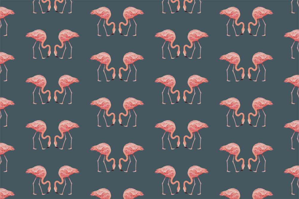 Fototapete Flamingo-Muster auf grüngrauem Hintergrund